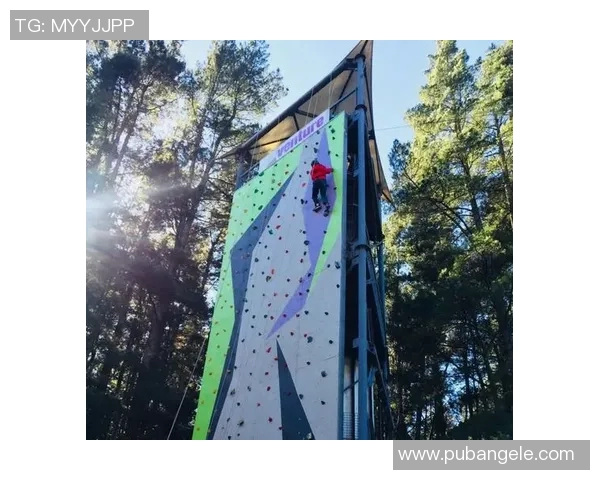 张秀英亲述攀岩技巧与心路历程分享攀登之美与挑战