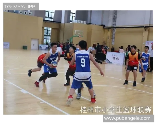 深入分析西安羽毛球队独特盯防战术及其战术优势与应用