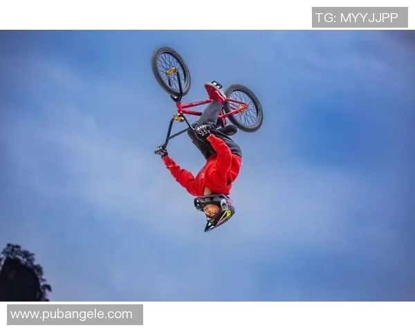 深圳极限运动队荣登全国极限运动状态排行榜第九名的辉煌成就